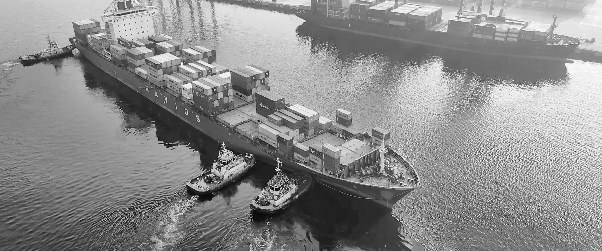 Dutch by heritage, entrepreneurs by nature