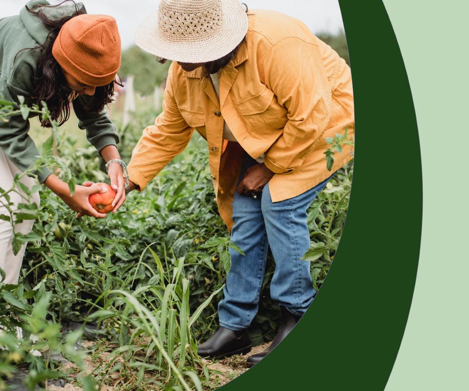 B&S introduces ‘Sustainable Choice’